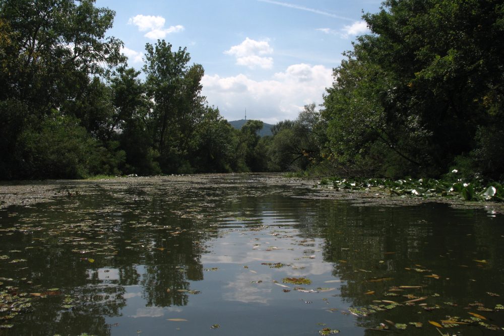 The_Tokaj_mountain_2